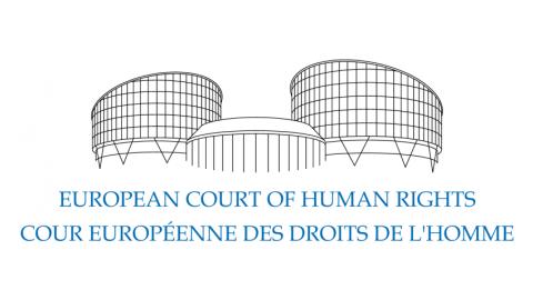 La Cour européenne des droits de l’homme condamne la Turquie pour la levée d’immunité de 40 députés kurdes